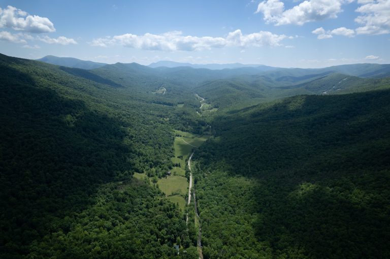 A long road cutting through the Blue Ridge Mountains of Virginia