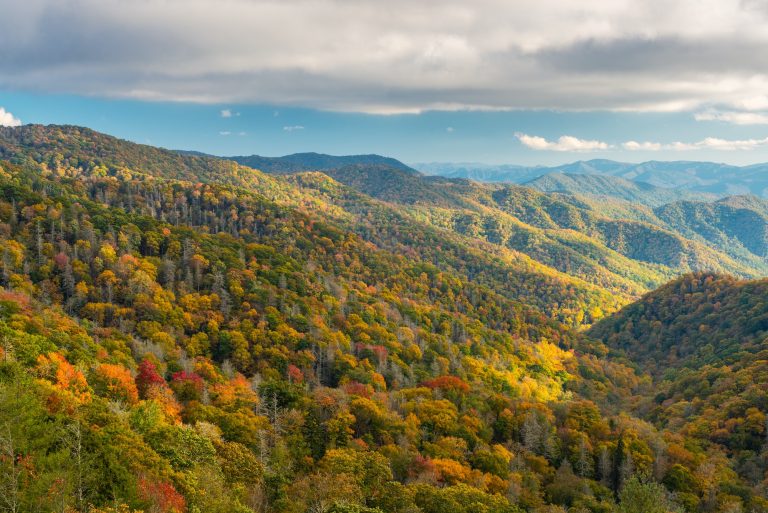 Great Smoky Mountains National Park, Tennessee, USA at the Newfound Pass