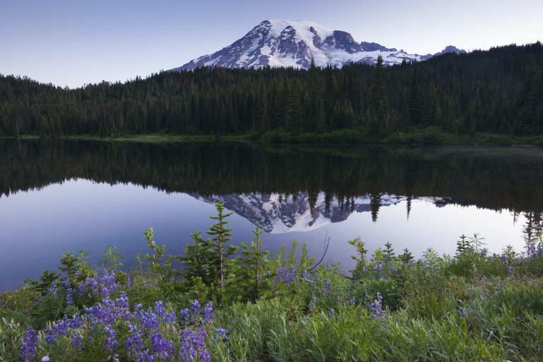 Mount Rainier, a snowcapped peak in Washington, USA