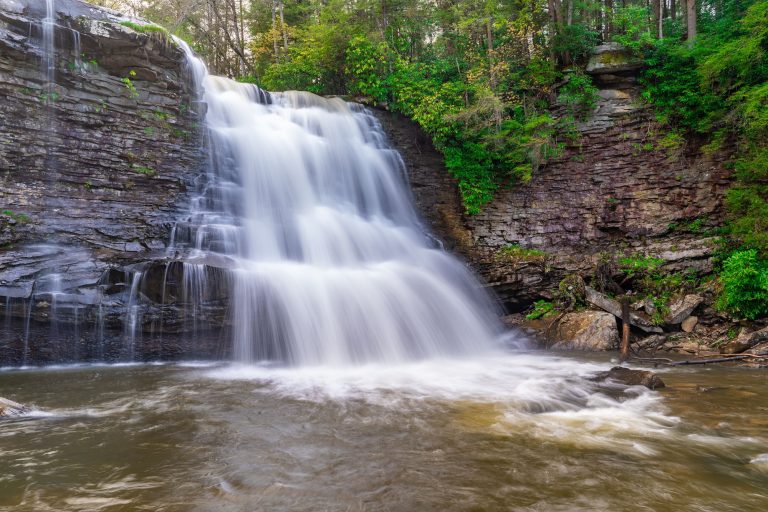 Scenic view of the Muddy Creek Falls surrounded by wild nature in Maryland